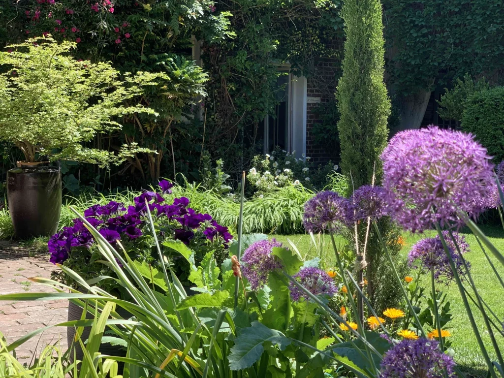 Camaïeu de fleurs mauves et violettes (pétunias, ail d'ornement) devant la façade du Clos