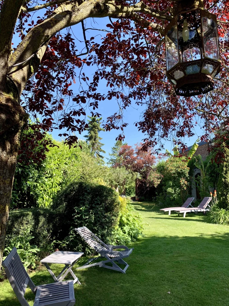 Coin ombragé du jardin, chaises longues sous les arbres
