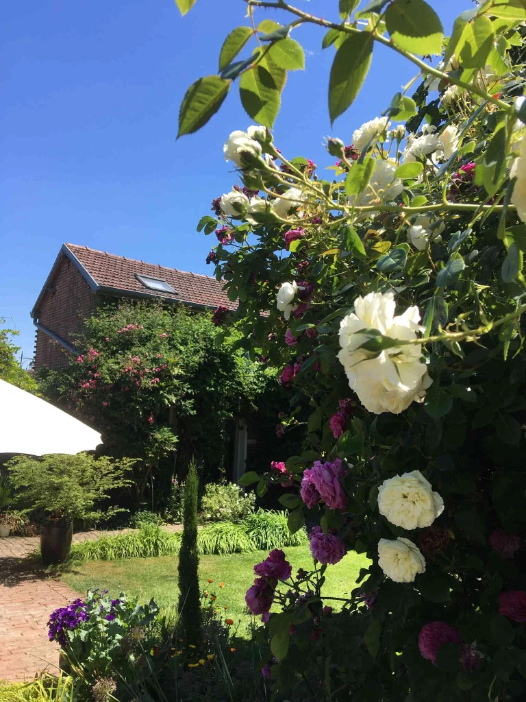 La façade du Clos de Royaucourt encadrée par les rosiers grimpants
