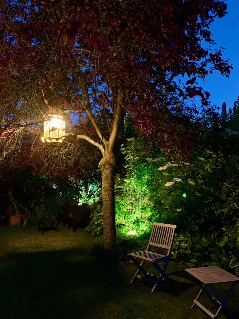 Lanterne allumée dans l'arbre, ambiance nocturne du jardin