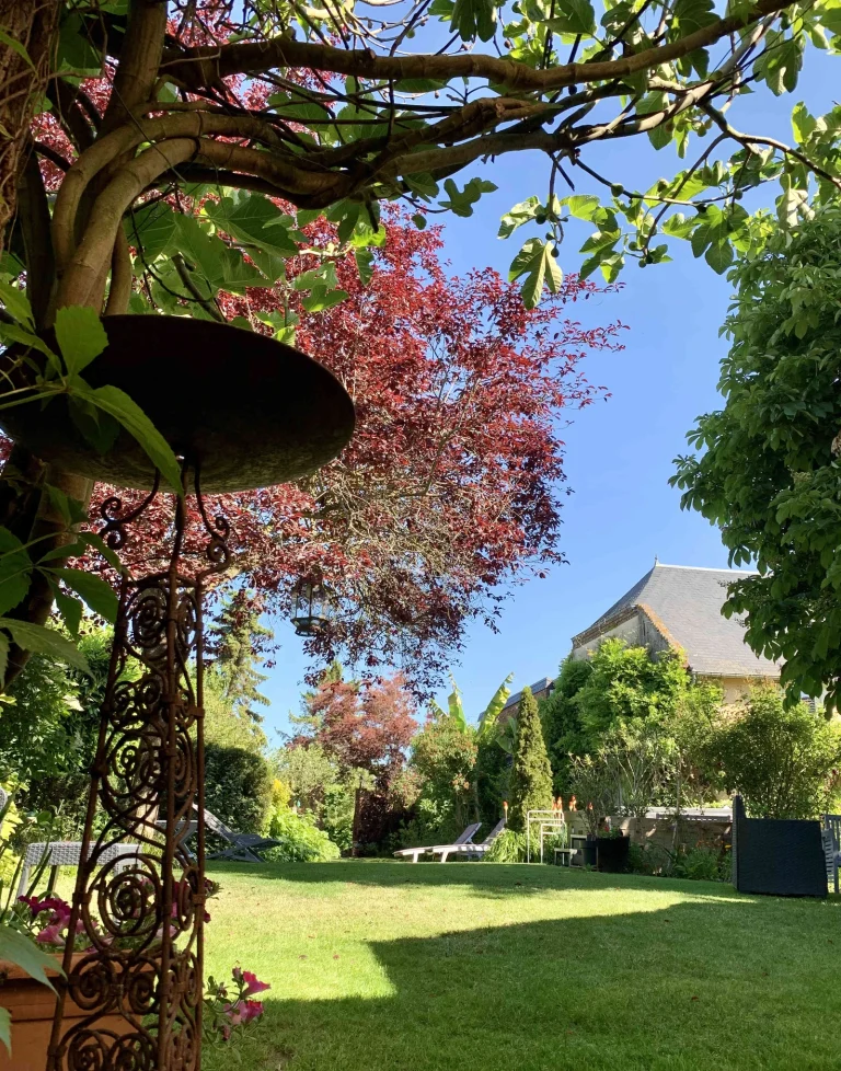 Vue du jardin depuis la pergola, érable pourpre et clocher de l'église en arrière-plan